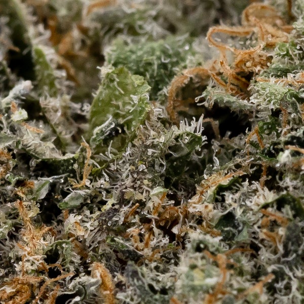 Purple Pebbles (Superdank) - Image 3