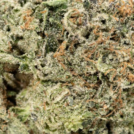 Tom Ford Pink Kush (Merry Jane) - Image 3