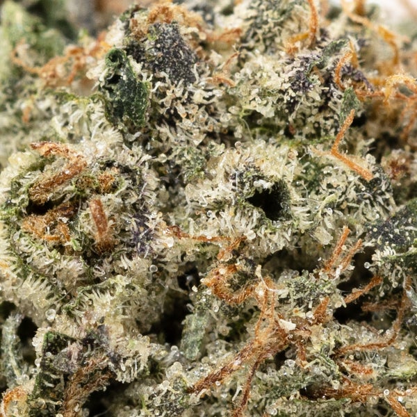 Tom Ford Pink Kush (Merry Jane) - Image 2