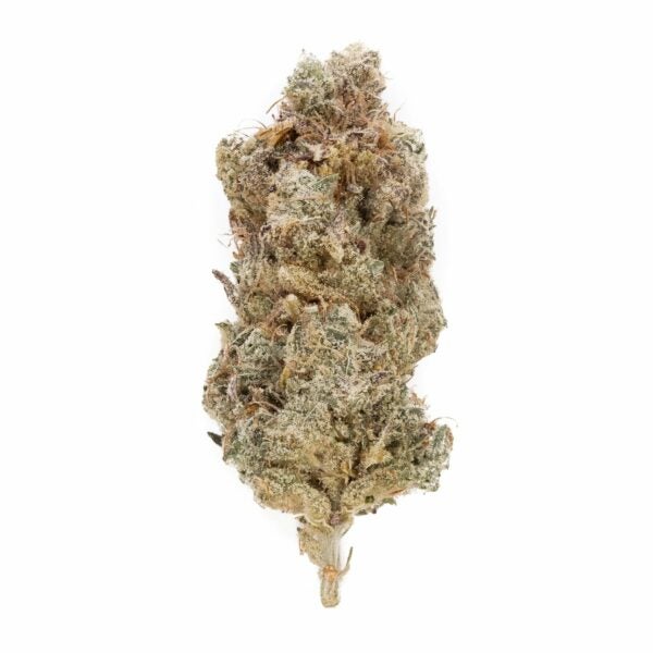 Buy Lemon Tree 3 (Jungle Ridge) DOPE Deal Best Deals in Canada