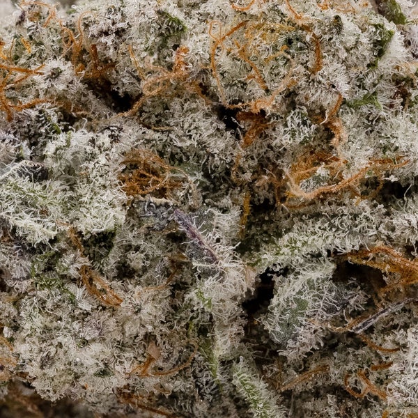 Vanilla Ice Cream (Okanaganja) - DOPE Deal - Image 2