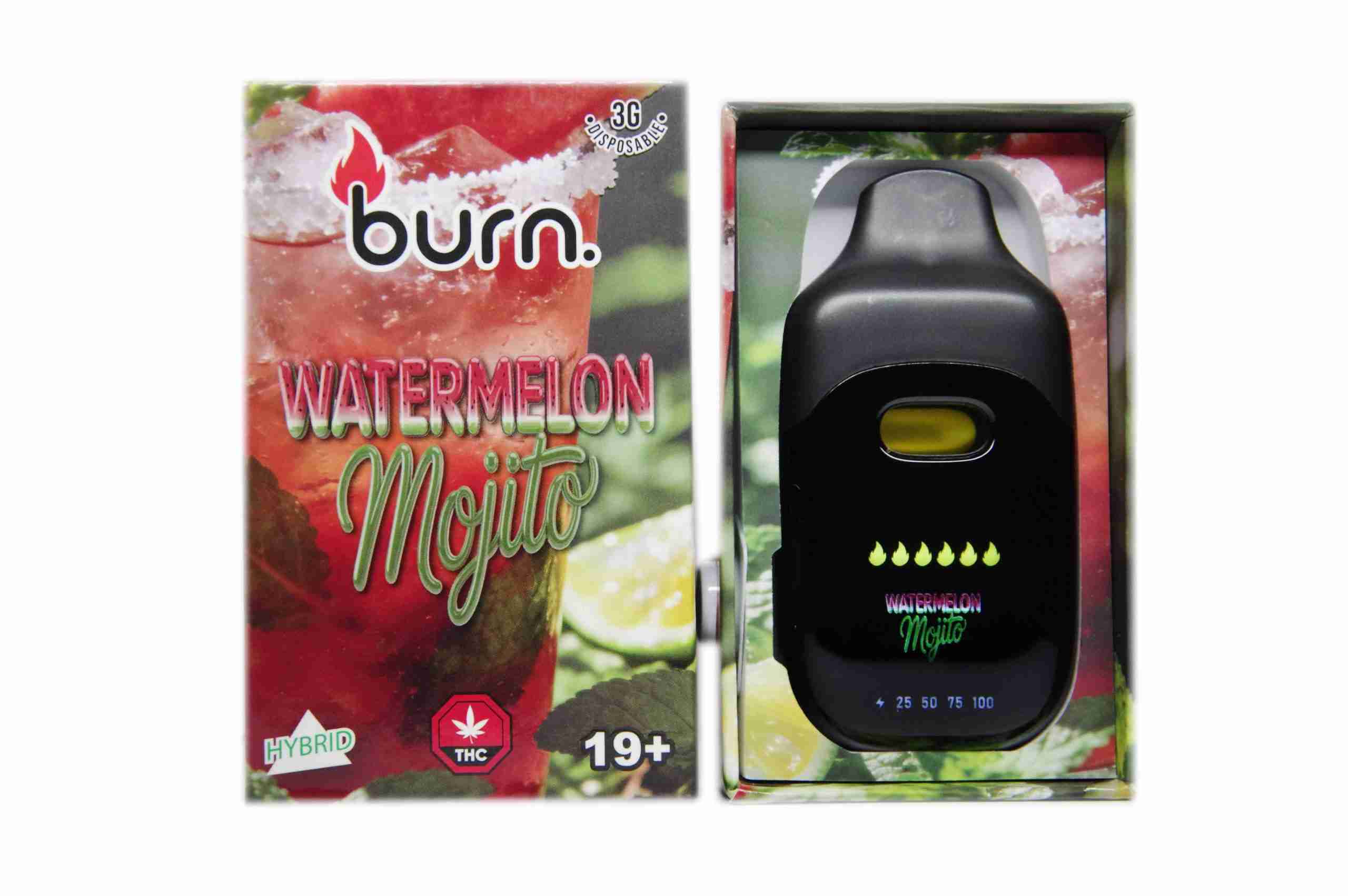 Burn Lifestyle Co. - Disposable Vape (3g) - Image 4