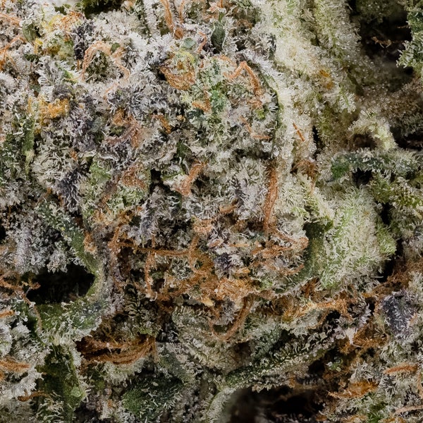 Alien Cookies (Okanaganja) - Image 2