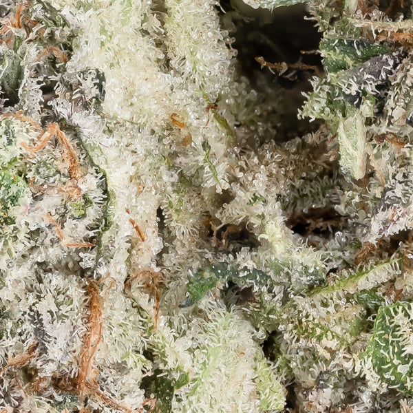 Alien Cookies (Okanaganja) - Image 3