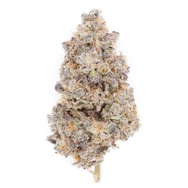 Blue Alien (Cream of the Crop) - DOPE Deal