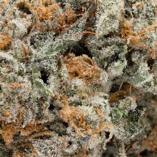 Chemdawg (Superdank) - DOPE Deal - Image 2