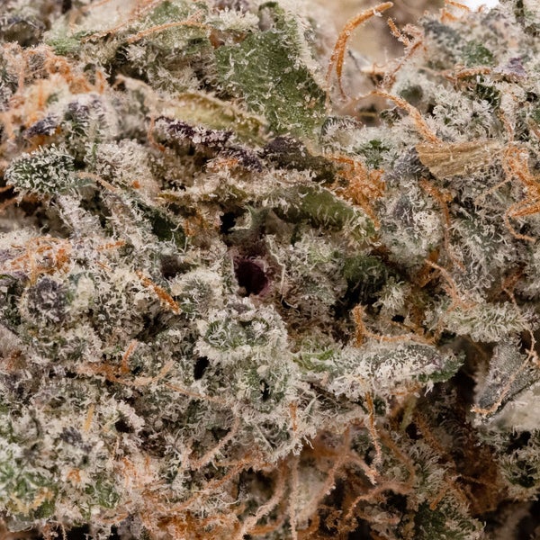 Sunset Sherbert (Cream Of The Crop) - Image 3
