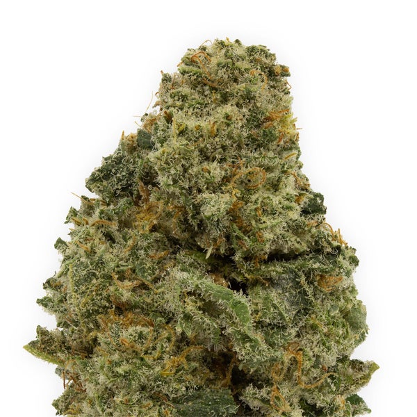 Apex (Skookum) - Image 3