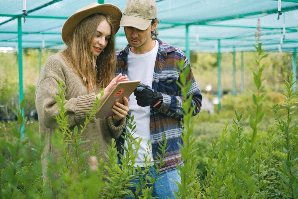 Couple looking an tablet to look for where weed has been stashed.