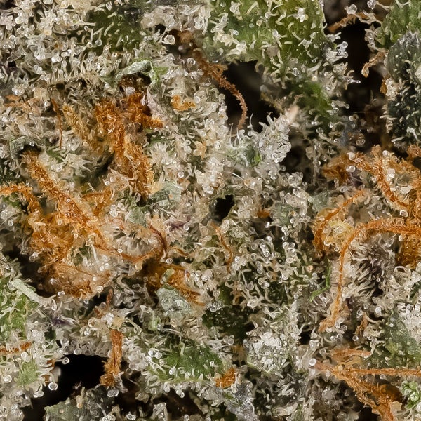 LSO Stay Puft (Cream of the Crop) - Image 3