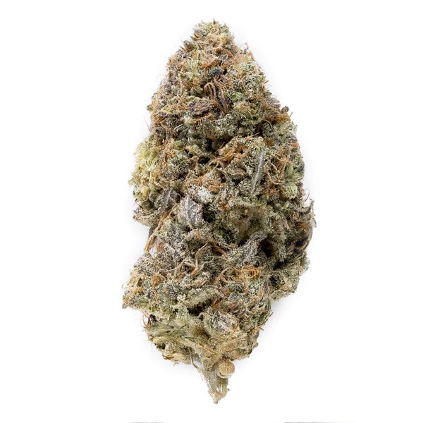 Lemonheads #3 (Jungle Ridge)