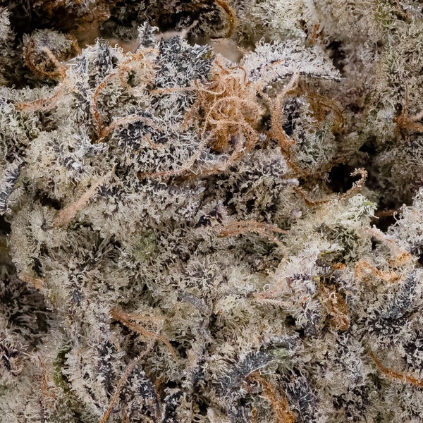 Schnazzleberry (Cream of the Crop) - Image 2