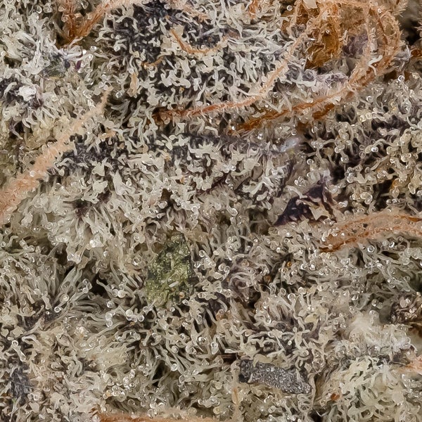 Schnazzleberry (Cream of the Crop) - Image 3