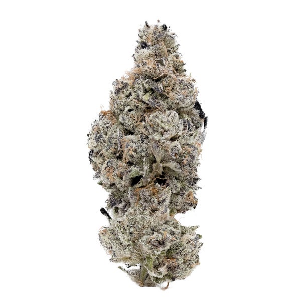 Southern Sugar (Jungle Ridge) - DOPE Deal
