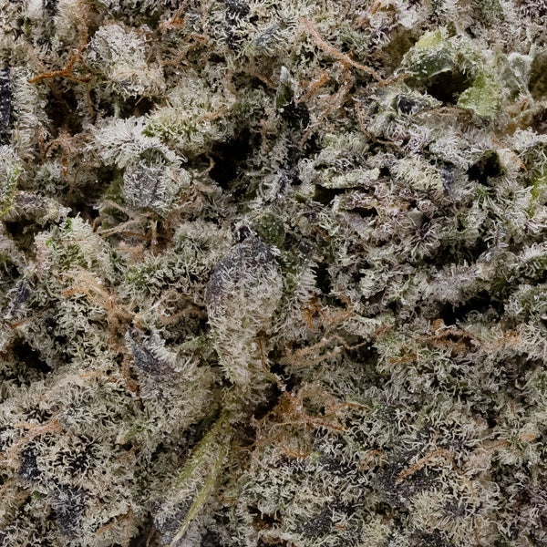 Southern Sugar (Jungle Ridge) - DOPE Deal - Image 3