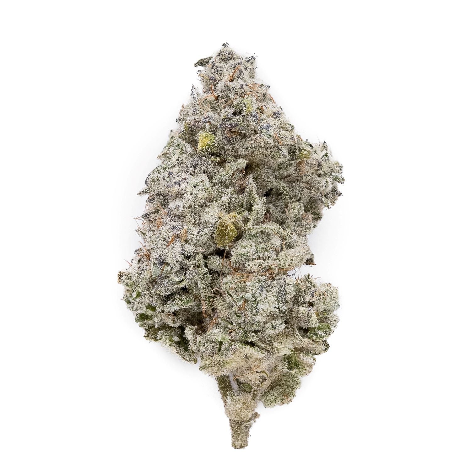 Wizard Express #8 (Okanaganja) - DOPE Deal