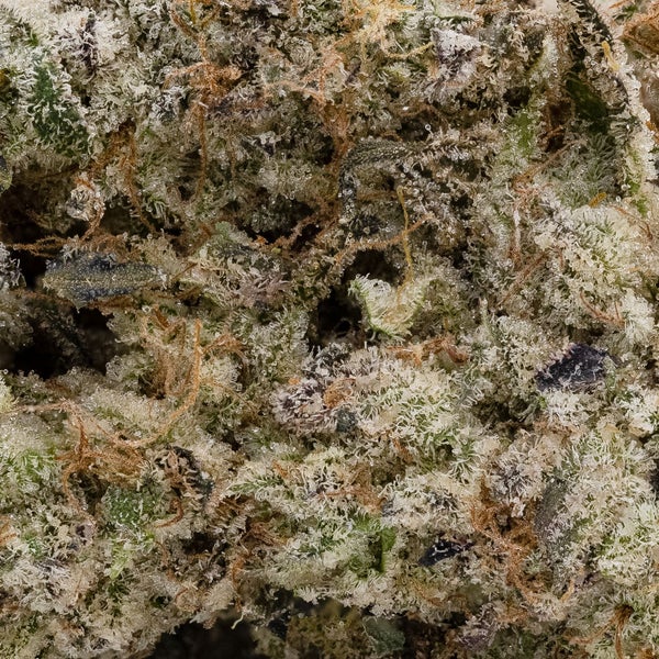 Death Cookies (Jungle Ridge) - Image 2