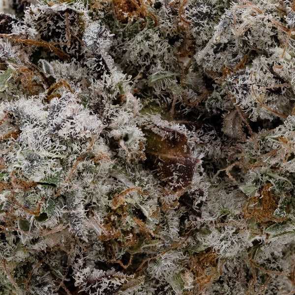 Sugar Bomb Punch (Mystic Cannabis) - Image 2