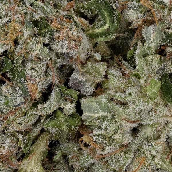 Death Bubba (Okanaganja) - Image 3