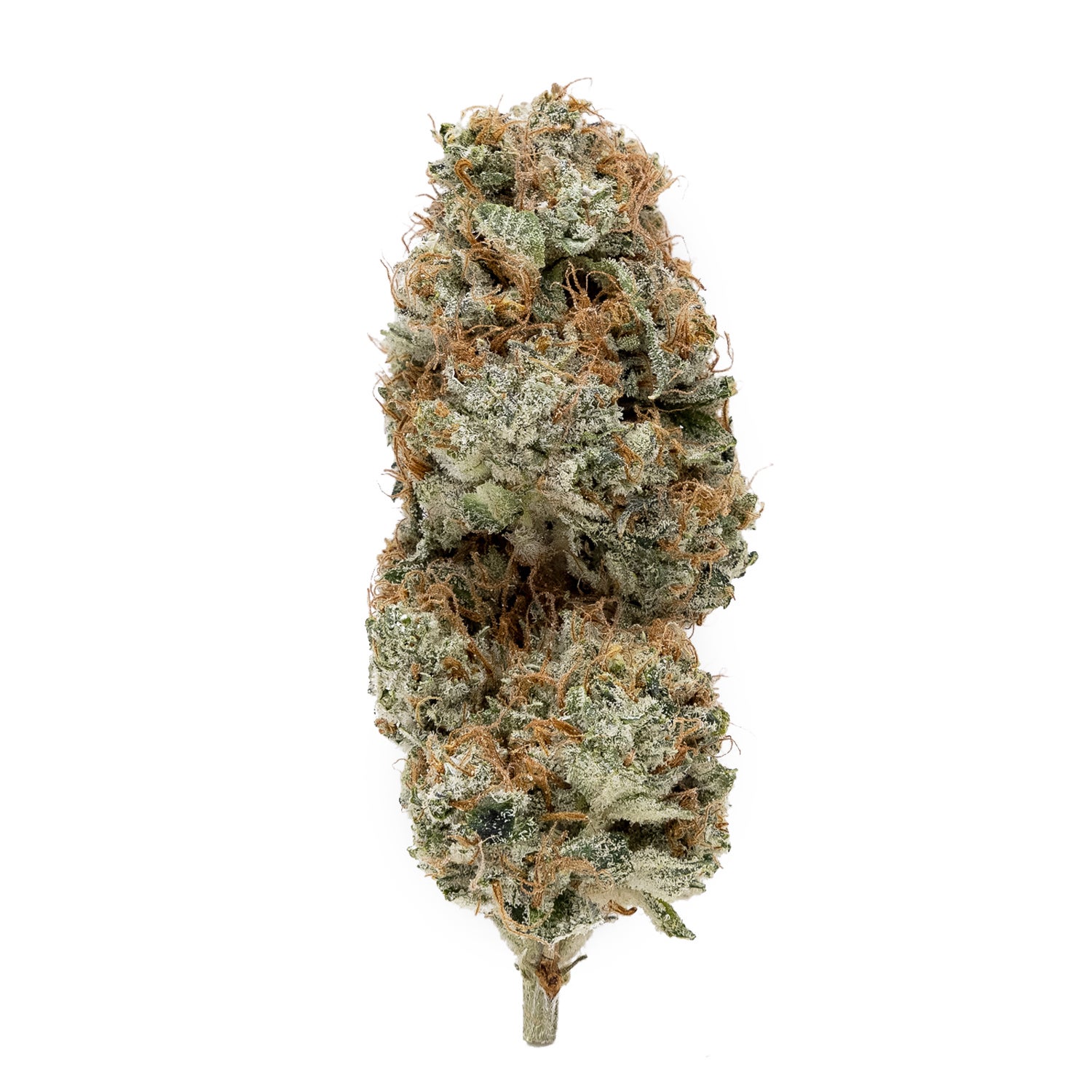 Lemon Tree #20 (Superdank)