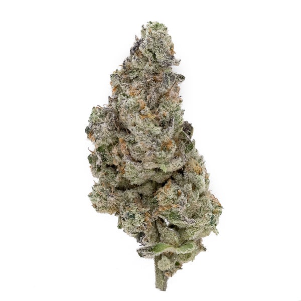 Polynesian Thin Mint (Cream Of The Crop)