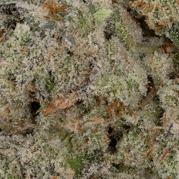 Polynesian Thin Mint (Cream Of The Crop) - Image 3
