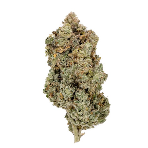 Sour Diesel strain. An acorn-shaped bud sits on a white background.