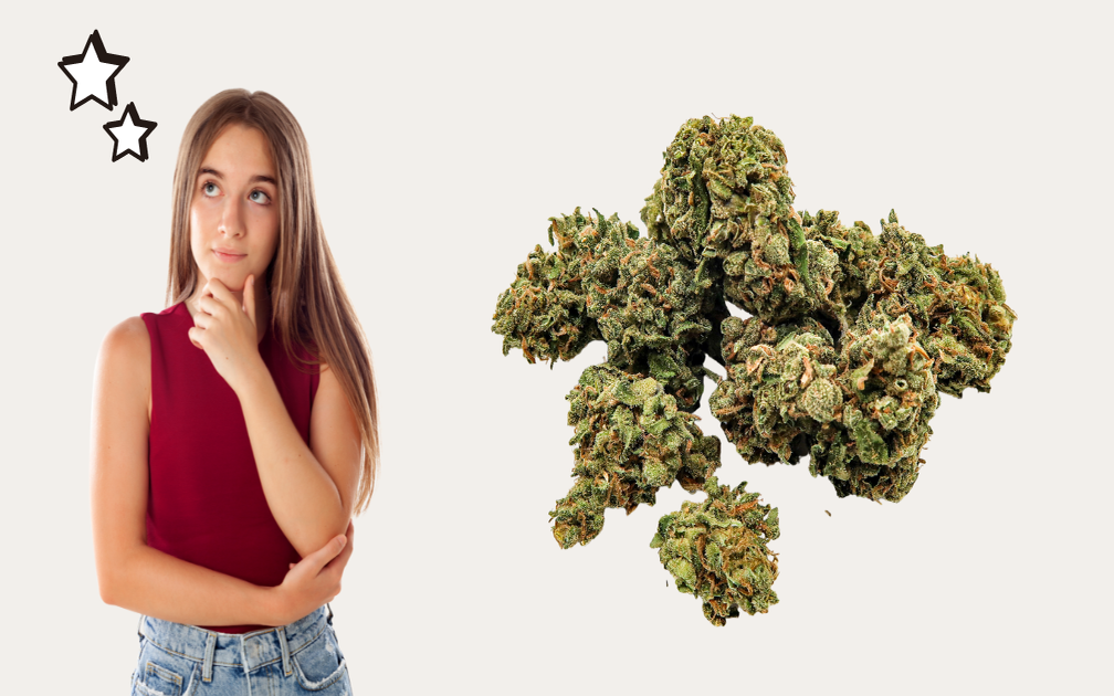 Why Are People More Inclined Towards Buying Sensi Star Strain Online?