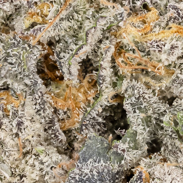 LSO Animal Mints (Albatross) - Image 3
