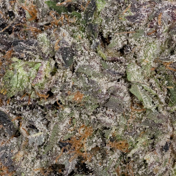 MKU (Lucky Farms) - Image 2