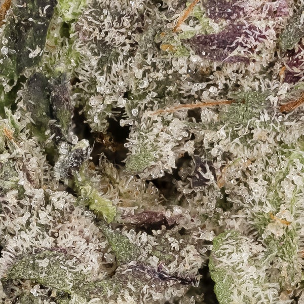 MKU (Lucky Farms) - Image 3