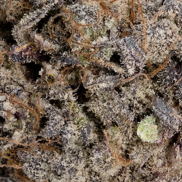 Purple Blueberry (Cream Of The Crop) - Image 2