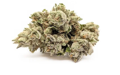 The Wedding Cake Strain: An In-Depth Examination