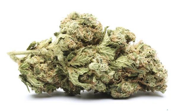 GG4 Strain: Unveiling Its Secrets