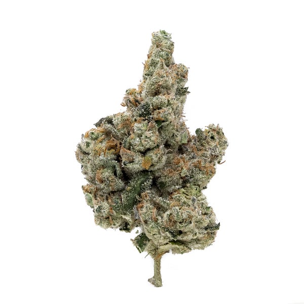 Chem Cookies (Jungle Ridge)