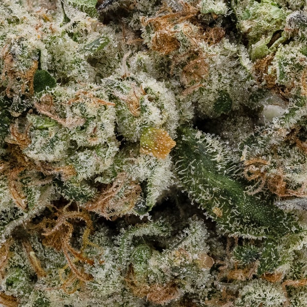 Chem Cookies (Jungle Ridge) - Image 3