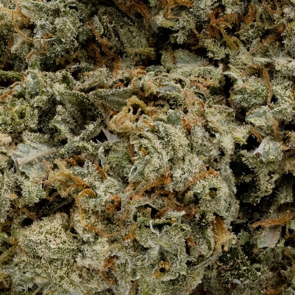 Super Lemon Haze (Cream of the Crop) - Image 3