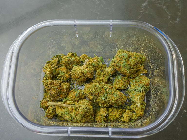 Cannabis buds stored in a plastic container.