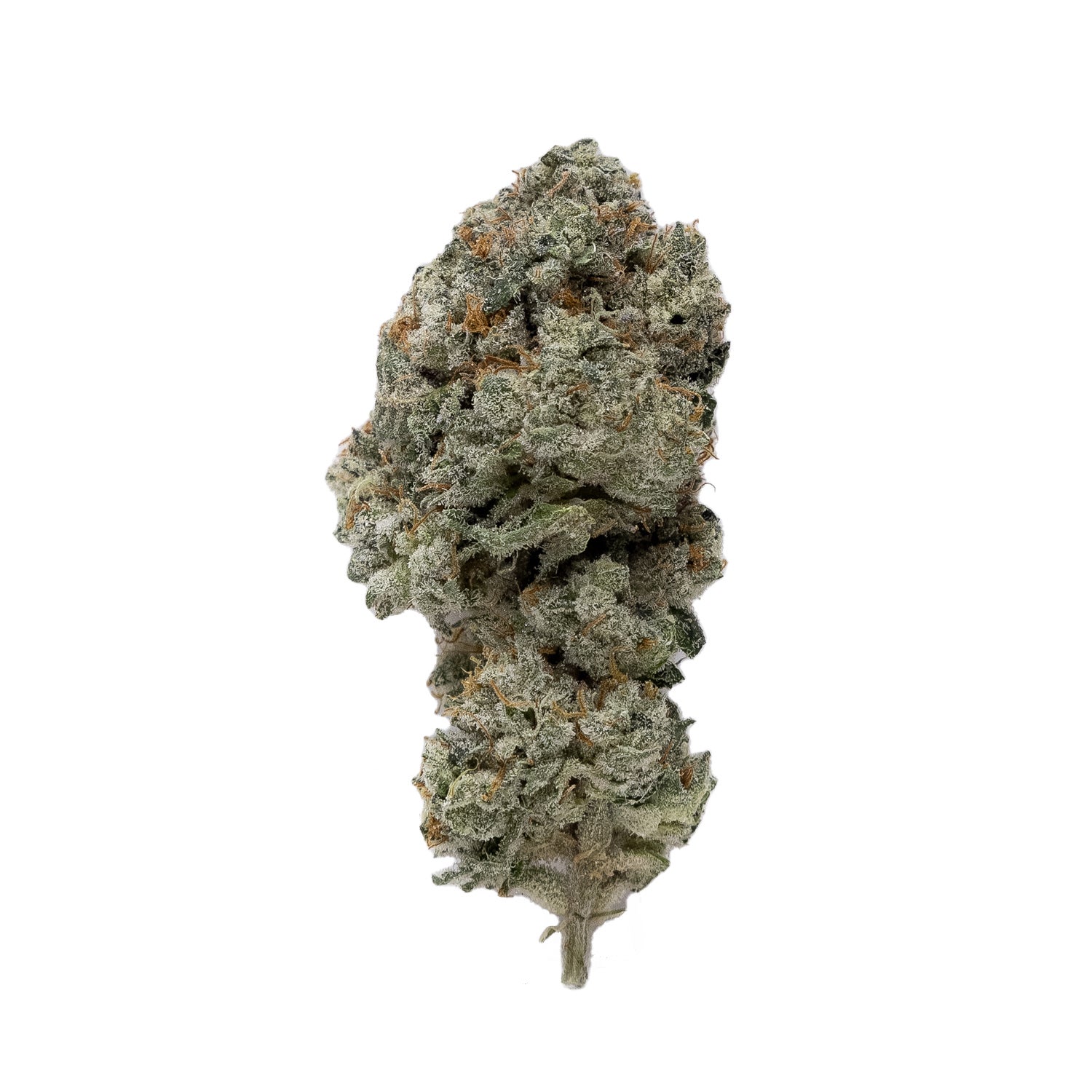 Grape Cake (Jungle Ridge)