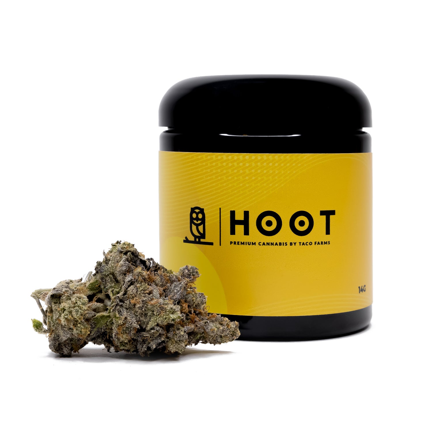 LSO Chocolate Mint OG (Hoot Cannabis)