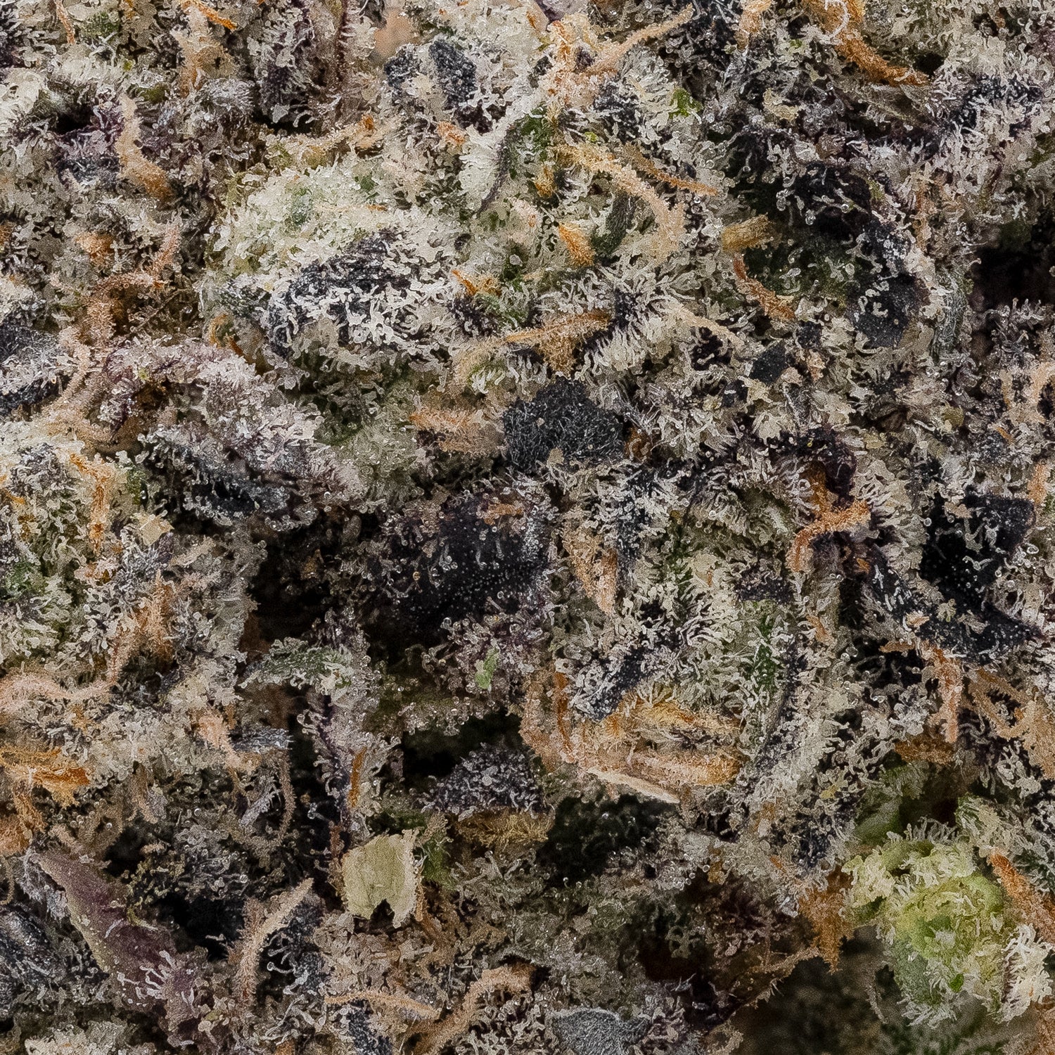 Rainbow Chip (Cream Of The Crop) - Image 3