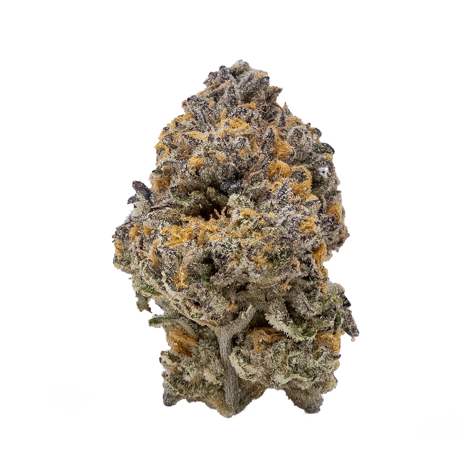 Biscotti (Superdank)