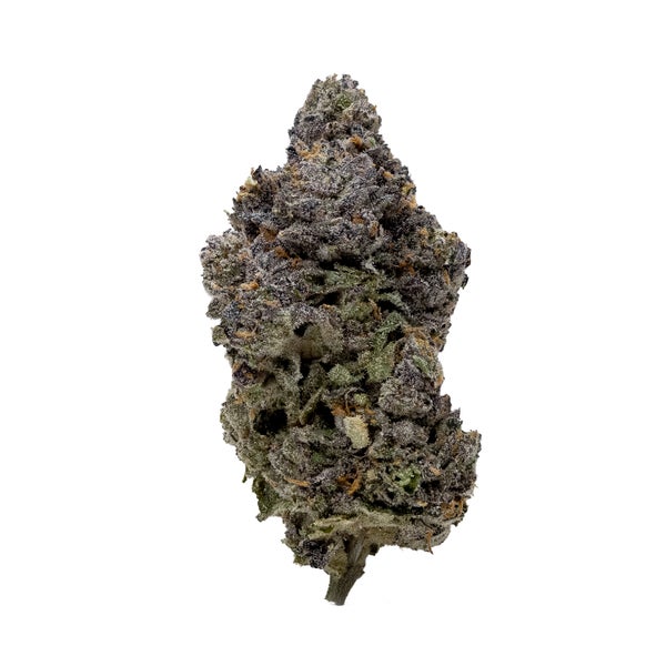Gushers (Jungle Ridge)