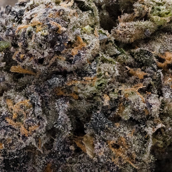 Gushers (Jungle Ridge) - Image 3