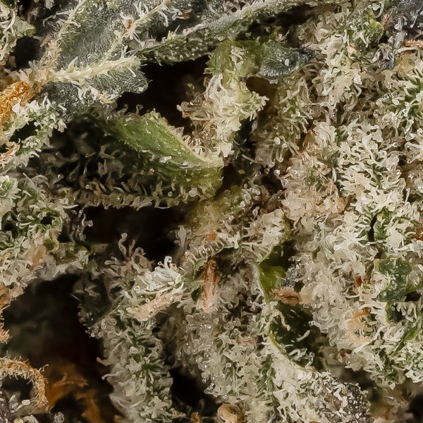 Moon Pie (Cream Of The Crop) - Image 3