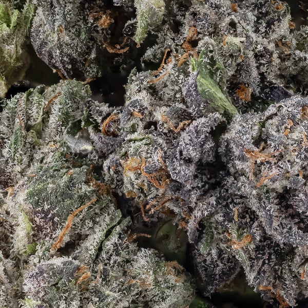 Tahoe OG (Smalls) (Lucky Farms) - Image 2