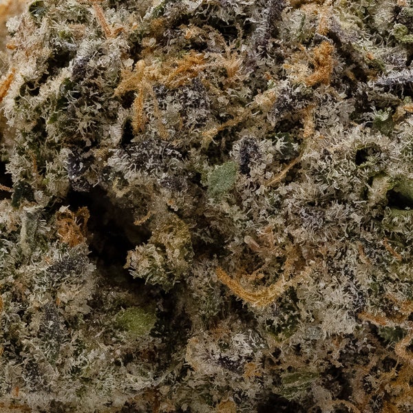 Gelato #25 (Superdank) - Image 3
