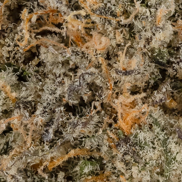 Gelato #25 (Superdank) - Image 2