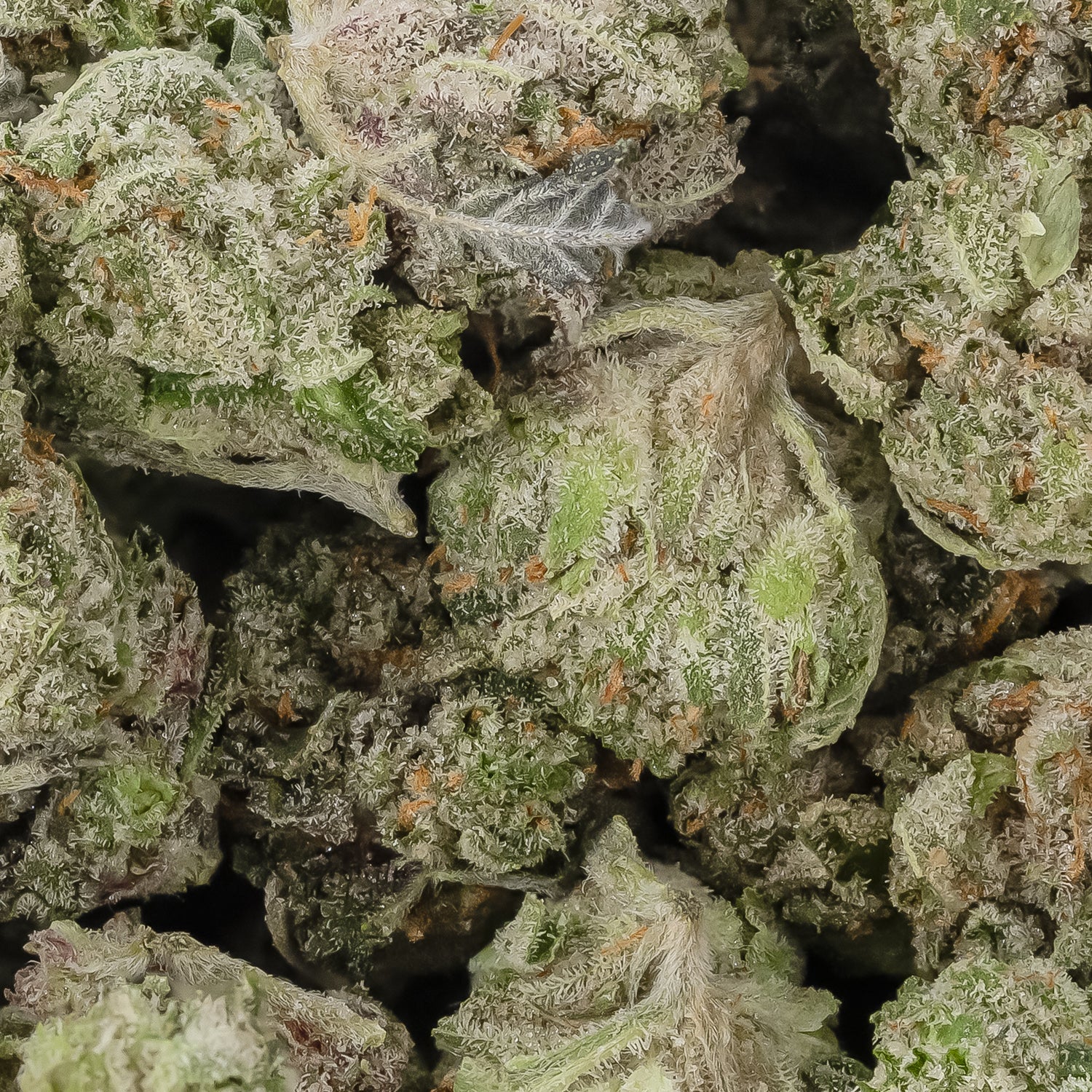 Fire OG (Smalls) (Lucky Farms) - Image 2