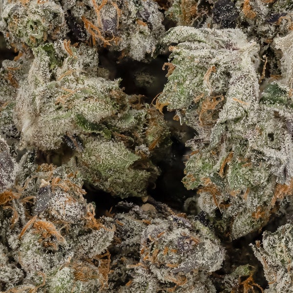 Platinum Pink (Smalls) (Lucky Farms) - Image 2